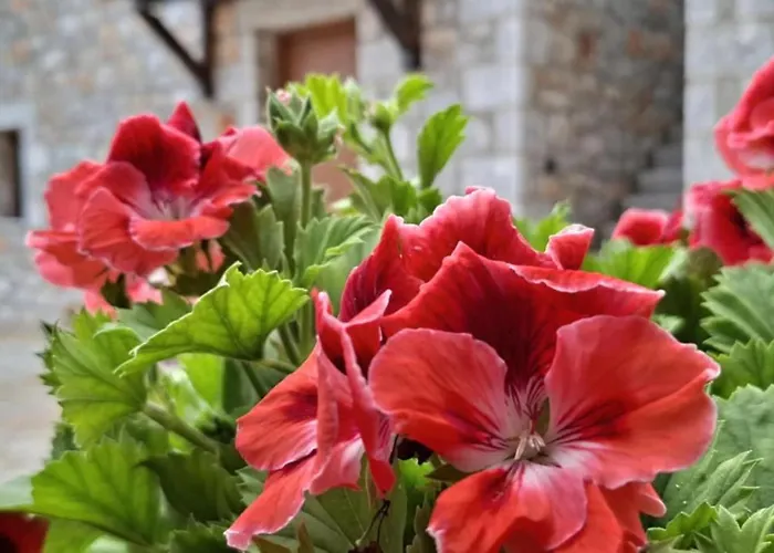 Mystic Mani Βίλα *